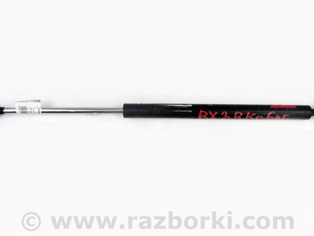 ФОТО Двери / Крышки багажника для Lexus RX300/330/350/400 (03-09) Київ