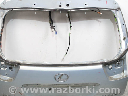 ФОТО Двери / Крышки багажника для Lexus RX300/330/350/400 (03-09) Київ