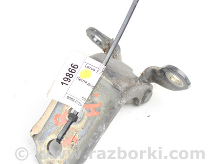 ФОТО Двери / Крышки багажника для Lexus RX300/330/350/400 (03-09) Київ