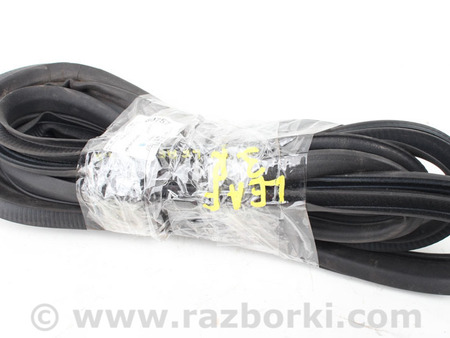 ФОТО Детали кузова для Nissan LEAF (10-17) Київ