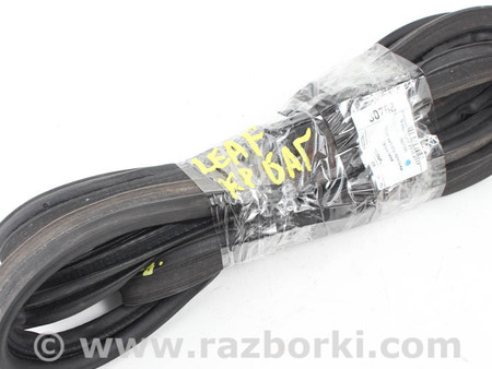 ФОТО Детали кузова для Nissan LEAF (10-17) Київ