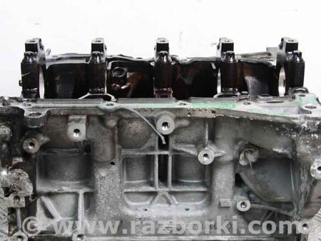 ФОТО Блок Двигателя для Nissan Qashqai/Roque Sport J11 (13-21) Київ