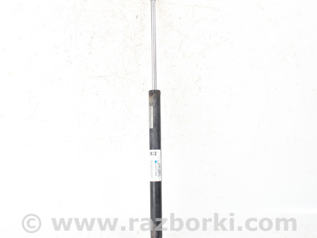 ФОТО Двери / Крышки багажника для Subaru Forester SJ S13 (12-18) Київ