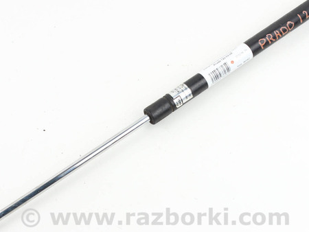 ФОТО Детали кузова для Toyota Land Cruiser Prado J120 (02-09) Київ
