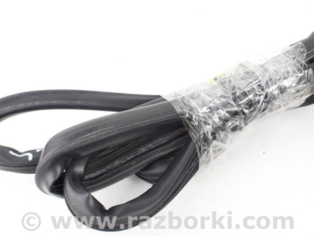 ФОТО Детали кузова для Toyota RAV-4 II CA20W/XA20 (00-05) Київ