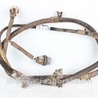 Проводка бампера заднего Toyota RAV-4 III CA30W/XA30 (05-16)