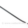 Двери и крышки багажника Toyota RAV-4 V XA50 (18-25)