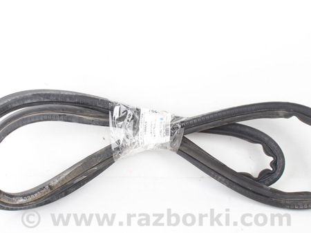 ФОТО Уплотнитель заднего (кузовного) стекла для Toyota Sienna (03-10) Київ