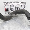 Патрубок основного радиатора верхний Honda Accord VIII CU/CP (07-13)