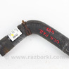 Патрубок основного радиатора нижний Subaru Outback IV BM/BR (09-14)