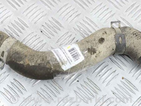ФОТО Патрубок основного радиатора верхний для Toyota Land Cruiser Prado J120 (02-09) Київ