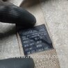 ФОТО Ремінь безпеки для Subaru Outback V BS (14-21) Київ