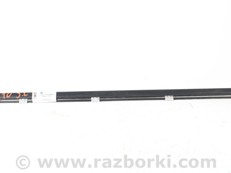 ФОТО Молдинг стекла двери задний левый для Nissan Qashqai J10 (06-13) Київ