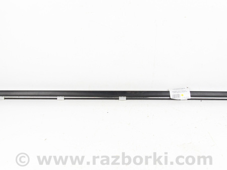 ФОТО Молдинг стекла двери передний правый для Nissan Qashqai J10 (06-13) Київ