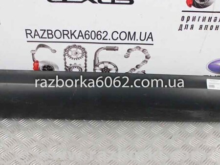 ФОТО Накладка двери передняя правая для Nissan Qashqai J10 (06-13) Київ