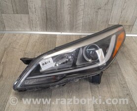 Фара Hyundai Sonata VII LF (14-19)