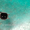 ФОТО Датчик ABS для Jeep Compass (17-21) Київ