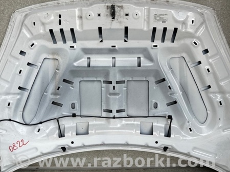 ФОТО Капот для Ford Escape 4 (01.2018-...) Київ