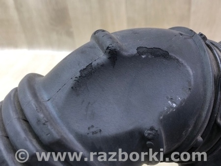 ФОТО Кришка корпусу повітряного фільтра для Hyundai Accent 3 MC (05-11) Київ