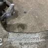 ФОТО Рычаг подвески для Audi (Ауди) A6 C7 4G (11-18) Київ