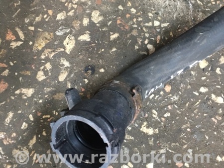 ФОТО Пластик для Audi (Ауди) A3 III 8V (12-20) Київ