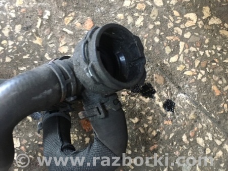 ФОТО Пластик для Audi (Ауди) A3 III 8V (12-20) Київ