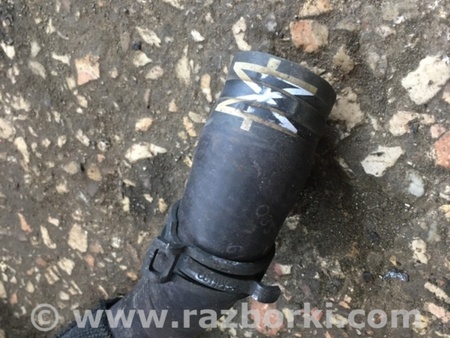 ФОТО Плафон подсветки багажника для Audi (Ауди) A4 V B9 - 8W (2015-) Київ