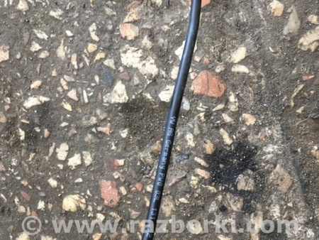ФОТО Обшивка багажника для Audi (Ауди) A4 V B9 - 8W (2015-) Київ