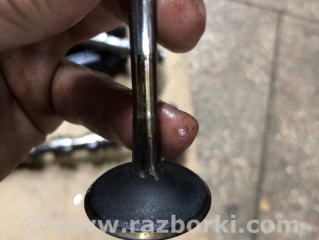 ФОТО Клапан впускной для Audi (Ауди) A4 V B9 - 8W (2015-) Київ
