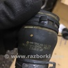 ФОТО Уплотнительная резинка боковой двери для Audi (Ауди) A3 III 8V (12-20) Київ