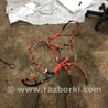 ФОТО Электропроводка для Audi (Ауди) A4 V B9 - 8W (2015-) Київ