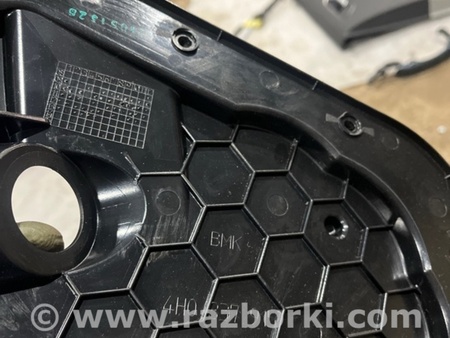 ФОТО пластик двери для Audi (Ауди) A8 III D4 4H (09-17) Київ