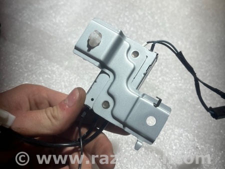 ФОТО Антенна для Subaru Legacy VII BW (19-25) Київ