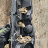 ФОТО Крышка клапанов для Audi (Ауди) A6 C7 4G (11-18) Київ
