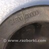 ФОТО Проводка двери для Infiniti QX50 II II P71A (17-25) Київ