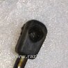 ФОТО Амортизатор капота для Porsche Panamera I 970 (09-16) Київ