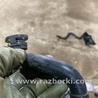 ФОТО Патрубок системы охлаждения для Audi (Ауди) A3 III 8V (12-20) Київ