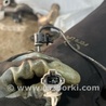 ФОТО Датчик ABS для Subaru Legacy VII BW (19-25) Київ