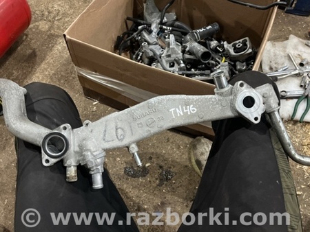 ФОТО Трубка охлаждения для Subaru Legacy VII BW (19-25) Київ