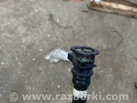 ФОТО Трубка вакуумная для Subaru Legacy VII BW (19-25) Київ