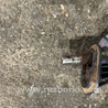 ФОТО Рулевая рейка для Audi (Ауди) A3 III 8V (12-20) Київ