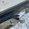 ФОТО Крыло переднее левое для Subaru Forester SG S11 (02-08) Київ