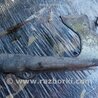 ФОТО Кронштейн правый для Subaru Forester SG S11 (02-08) Київ