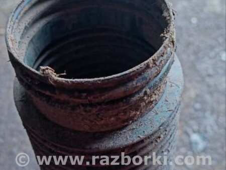 ФОТО Пыльник стойки задний для Subaru Forester SG S11 (02-08) Київ