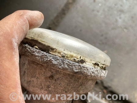 ФОТО Противотуманная фара правая для Subaru Forester SG S11 (02-08) Київ