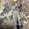 ФОТО Рычаг задний правый для Subaru Forester SG S11 (02-08) Київ