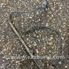 Датчик abs задний левый Subaru Forester SG S11 (02-08)