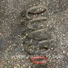 Пружина задняя Subaru Forester SG S11 (02-08)