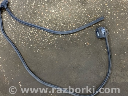 ФОТО Уплотнительная резинка задняя левая для Subaru Forester SG S11 (02-08) Київ
