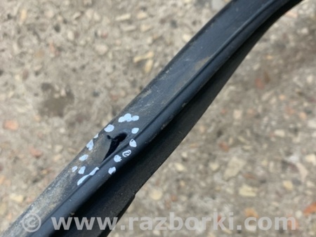 ФОТО Уплотнительная резинка задняя левая для Subaru Forester SG S11 (02-08) Київ